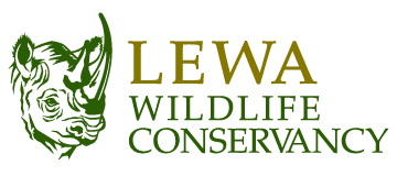 Lewa conservacy